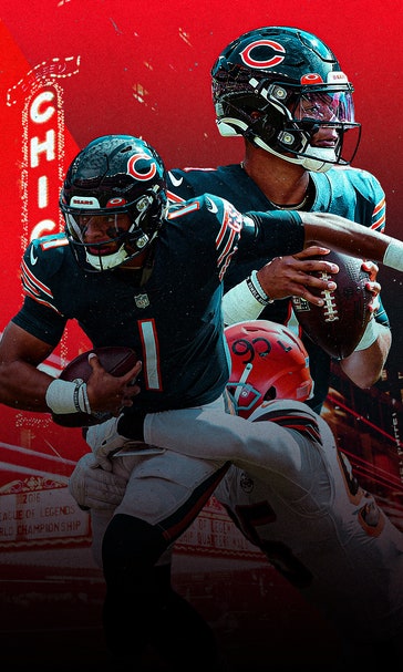 Bears' Blues